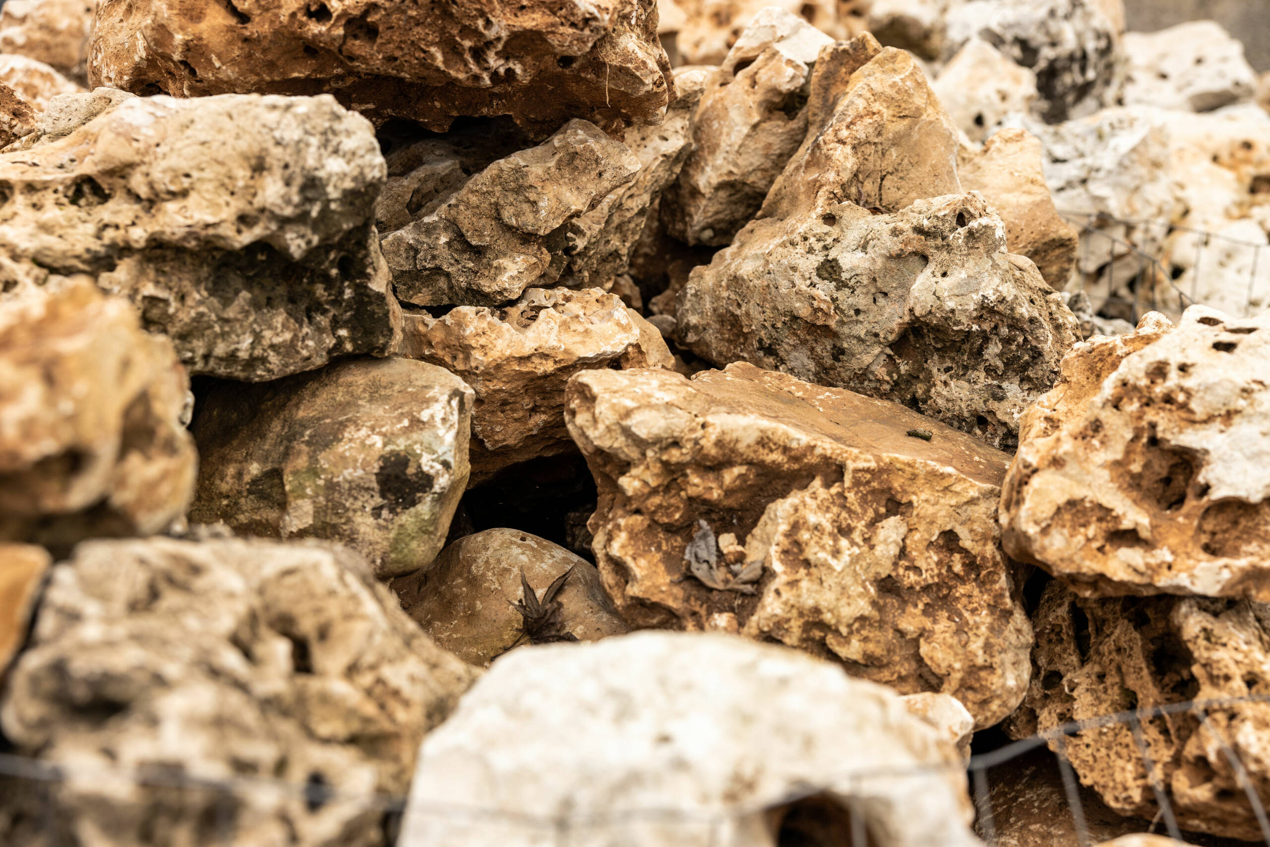 Decorazioni da esterno